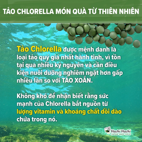 Vien-uong-tao-chlorella-chong-oxi-hoa-dao-thai-doc-to.jpg